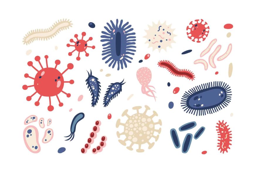 Do Probiotics Work - Our Microbiome