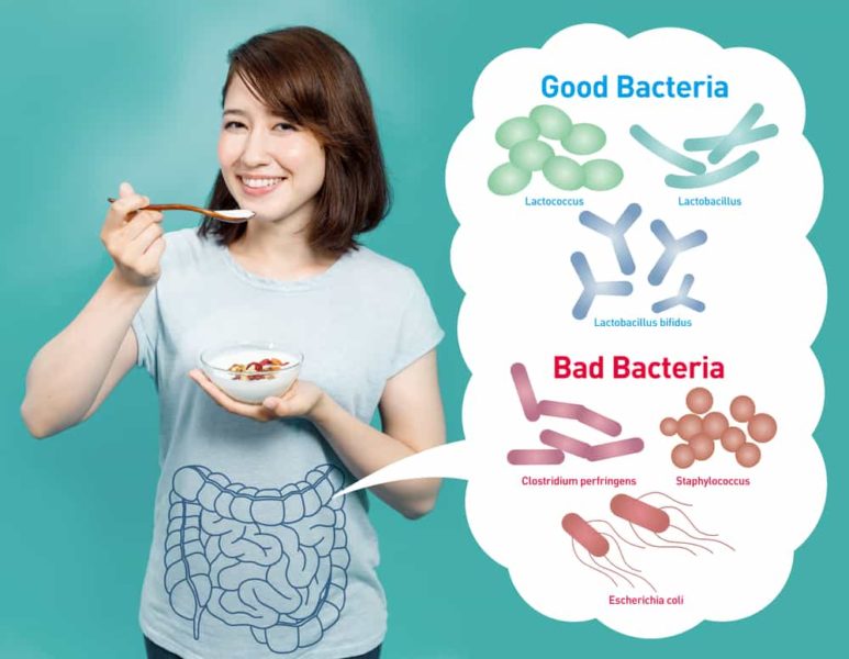 Do Probiotics Work - What Is Good Bacteria?